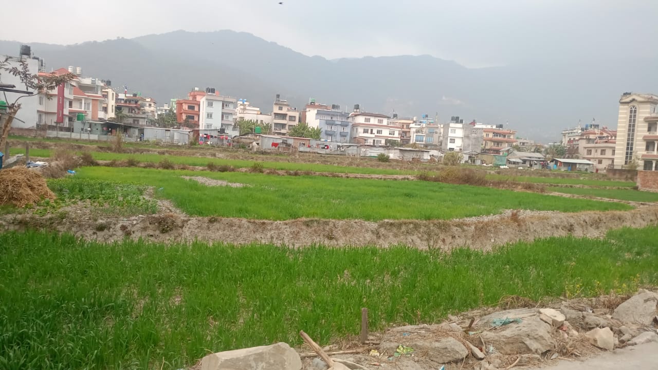 Picture of Budhanilkantha Municipality, Bagmati